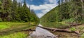 Beautiful panoramic landscape of Icy Lake in Alaska near Skagway. Lush green forest surrounding the lake. Fallen tree in the water Royalty Free Stock Photo