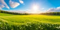 Beautiful panoramic natural landscape of a green field