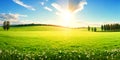 Beautiful panoramic natural landscape of a green field