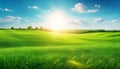 Beautiful panoramic natural landscape of a green field