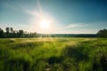 Beautiful panoramic natural landscape of a green field with grass against a blue sky with sun. Royalty Free Stock Photo