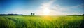 Beautiful panoramic natural landscape of a green field with grass against a blue sky with sun. Royalty Free Stock Photo