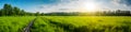 Beautiful panoramic natural landscape of a green field with grass against a blue sky with sun. Royalty Free Stock Photo