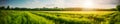 Beautiful panoramic natural landscape of a green field with grass against a blue sky with sun. Royalty Free Stock Photo