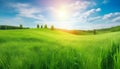 Beautiful panoramic natural landscape of a green field