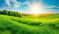 Beautiful panoramic natural landscape of a green field