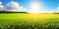 Beautiful panoramic natural landscape of a green field