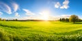 Beautiful panoramic natural landscape of a green field