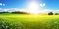 Beautiful panoramic natural landscape of a green field