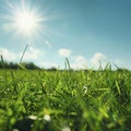 Beautiful panoramic natural scene of a green field with grass against a blue sky with the sun, Spring summer blurring background Royalty Free Stock Photo