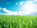 Beautiful panoramic natural landscape of green grass and blue sky