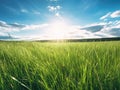 Beautiful panoramic natural landscape of green grass and blue sky