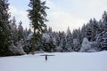 A beautiful panoramic photo of a faraway view of a young girl skipping through the fresh snow, on a beautiful snowy day