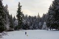 A beautiful panoramic photo of a faraway view of a young girl walking with her little dog, on a beautiful snowy day