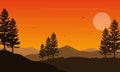 The beautiful panoramic of pine trees in the afternoon at sunset. Vector illustration Royalty Free Stock Photo