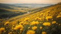 Beautiful panoramic scenery with yellow flowers and bokeh background Royalty Free Stock Photo