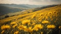 Beautiful panoramic scenery with yellow flowers and bokeh background Royalty Free Stock Photo