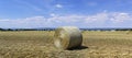 Beautiful panoramic view of afield with straw bales and a blue sky with clouds