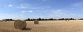 Beautiful panoramic view of afield with straw bales and a blue sky with clouds