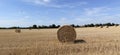 Beautiful panoramic view of afield with straw bales and a blue sky with clouds