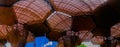 Beautiful panoramic view of architectural woodden structure in a botanical greenhouse in Medellin