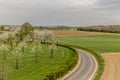 Beautiful panoramic view of an asphalt road between farm land, green grass and cherry trees blooming Royalty Free Stock Photo