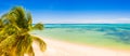 Beautiful panoramic view of coconut palm tree on a sandy tropical beach Royalty Free Stock Photo