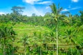 Beautiful panoramic view with green rice terraces near Tegallalang village, Ubud, Bali, Indonesia Royalty Free Stock Photo