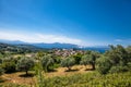 Beautiful panoramic view on Olive groves and Agriovotano village in the background, Evia island. Greece