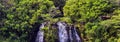 Beautiful panoramic view of Opaekaa Waterfalls in Hawaii, island of Kauai. Lush green tropical forest around the waterfall Royalty Free Stock Photo