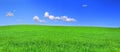 Beautiful panoramic view of peaceful grassland