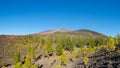 Beautiful panoramic view of the Pico del Teide and Pico Viejo. C Royalty Free Stock Photo