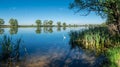 Beautiful panoramic view of river in the summer morning. Amazing beauty of nature