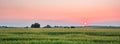 Beautiful panoramic view of sunset over green barley field Royalty Free Stock Photo