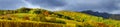 Beautiful panoramic view to Andlau, France Royalty Free Stock Photo