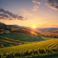 Beautiful panoramic view of vineyards under the sunset light in autumn. Chianti Classico Area near Florence, Italy. Royalty Free Stock Photo