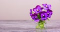 Beautiful pansy flowers. Bouquet in test tube. Flowers with water drops Royalty Free Stock Photo