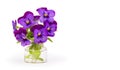 Beautiful pansy flowers. Bouquet in test tube. Pansy flowers on white background. Royalty Free Stock Photo