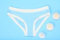 Beautiful panties with buds of flowers on blue background. Women underwear set.