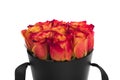 Beautiful paper pot of orange roses