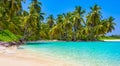 beautiful paradise beach with big palm trees Royalty Free Stock Photo