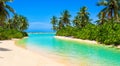 beautiful paradise beach with big palm trees and crystal clear water Royalty Free Stock Photo