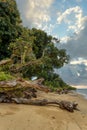 Beautiful paradise beach in Masoala, Madagascar