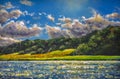 Beautiful paradise landscape modern oil painting impressionism. Sunny day