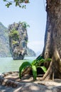 Beautiful paradise place on James Bond island Khao Phing Kan stone. Phuket Thailand nature. Asia travel photography