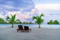 Beautiful Paradise Sandy Beach with Palm Trees and Wooden Deck Chairs Royalty Free Stock Photo