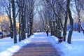 Beautiful park alley with bench and trees in winter sunny day Royalty Free Stock Photo