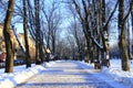 Beautiful park alley with bench and trees in winter sunny day Royalty Free Stock Photo