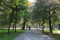 Beautiful Park Alley Royalty Free Stock Photo