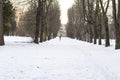 Beautiful park alley with silhoette of lonely people in winter sunny day. Trees and benches near footpath. Place for skiing and Royalty Free Stock Photo